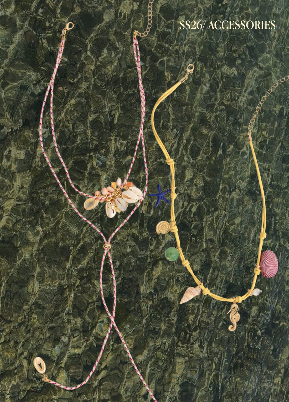 Collar peces marines