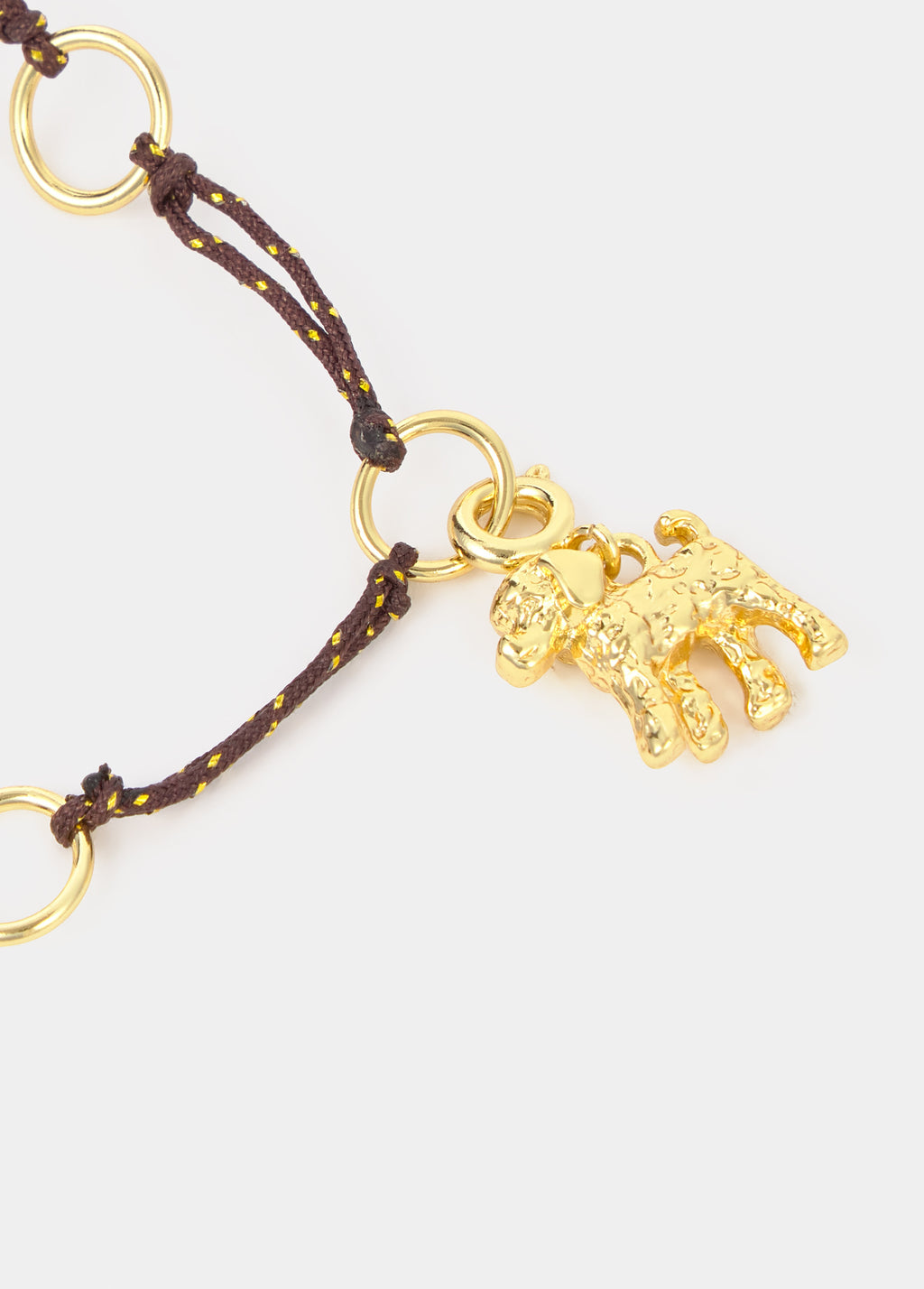 Charm petit chien
