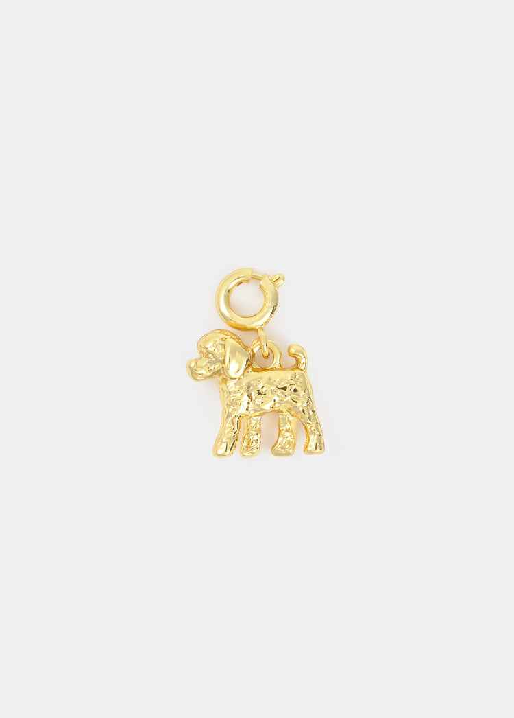 Charm perrito