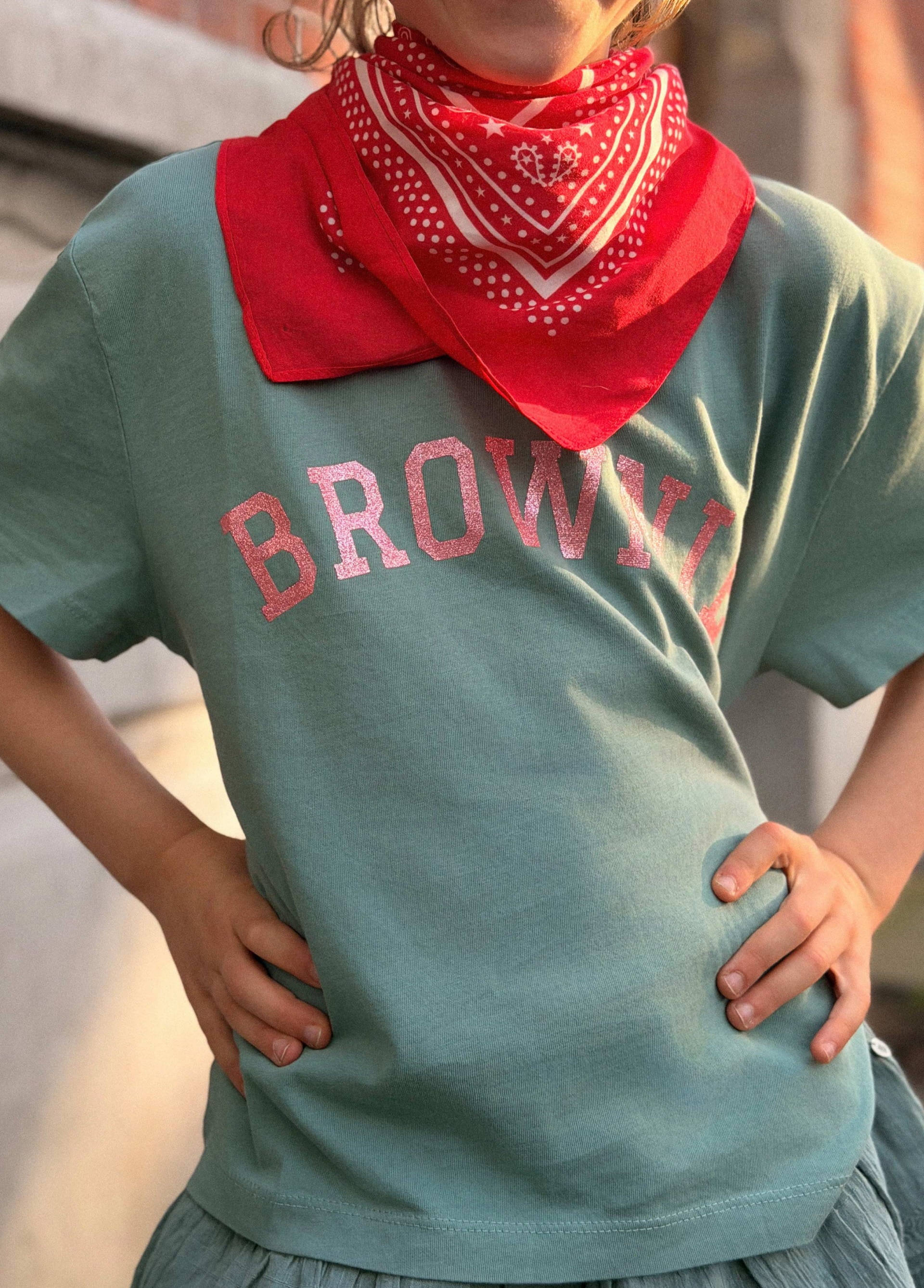 Camiseta logo brownie