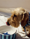 Large pet bowl