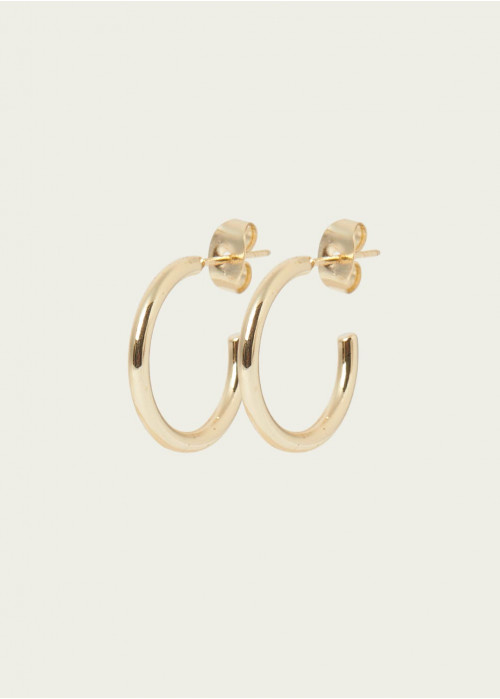 Small hoop earrings
