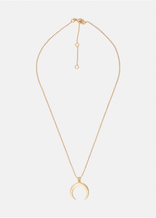 Horn necklace