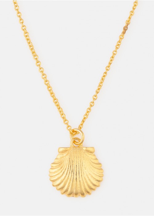 Collar concha2